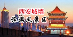 大鸡巴操美女的屁眼中国陕西-西安城墙旅游风景区